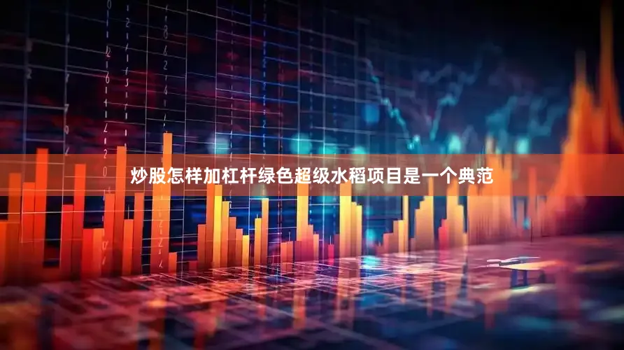 炒股怎样加杠杆绿色超级水稻项目是一个典范