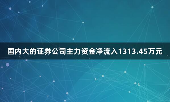 国内大的证券公司主力资金净流入1313.45万元