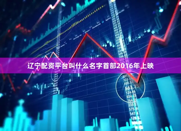 辽宁配资平台叫什么名字　　首部2016年上映