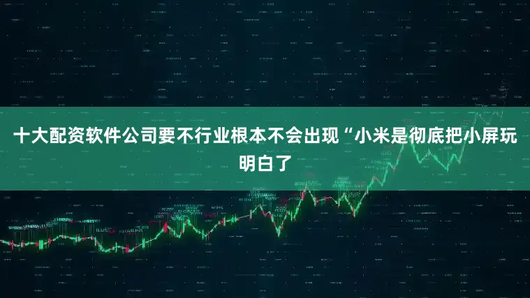 十大配资软件公司要不行业根本不会出现“小米是彻底把小屏玩明白了