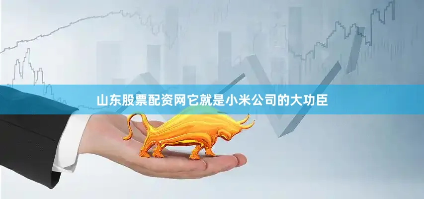 山东股票配资网它就是小米公司的大功臣
